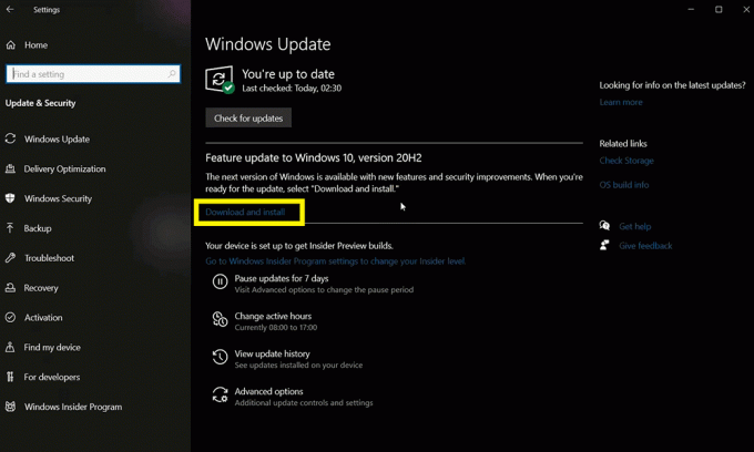 ¿Cómo actualizar e instalar Windows 10 20H2?