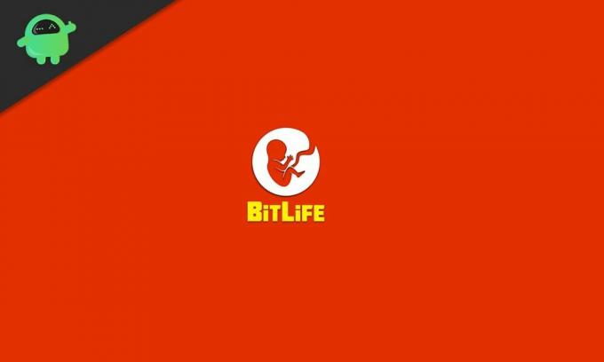 BitLife: Vodič za izazove stvarnih domaćica