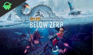 Tukeeko Subnautica alle nollan moninpelimoodia?