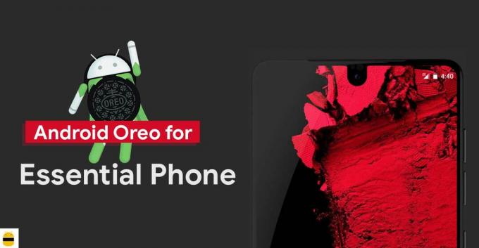 Laadige alla Install OPM1.170911.130 Android Oreo Beta 1 Essential Phone'ile