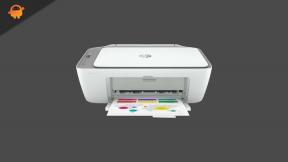 „HP DeskJet 2755e“ spausdintuvas nespausdina: kaip pataisyti?