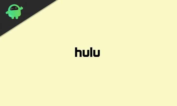 Sådan rettes Hulu fejlkode P-Dev320