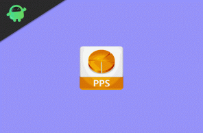 Hvad er PPS-filer? Sådan åbnes PPS-filer i Windows 10?