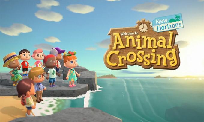 Stáhněte si tapetu Animal Crossing - New Horizons pro stolní počítače a smartphony
