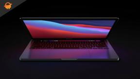 Fix: Problem med højt RAM-forbrug på Macbook efter den seneste macOS Monterey