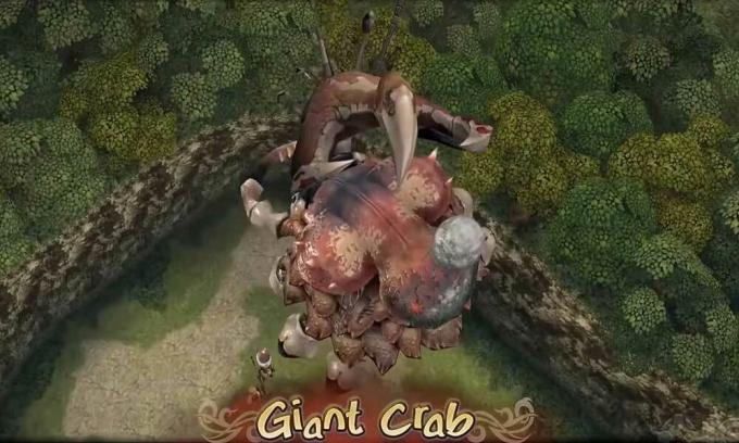 Final Fantasy Crystal Chronicles: Sconfiggi Goblin King | Granchio gigante