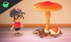 Popis sezonskih gljiva DIY recepata: Animal Crossing New Horizons