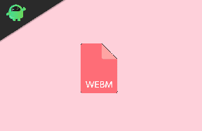 Vad är WebM File och hur man använder det i Windows 10?