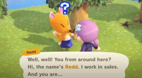 Animal Crossing: New Horizons Redd ontbreekt? Hoe te repareren?