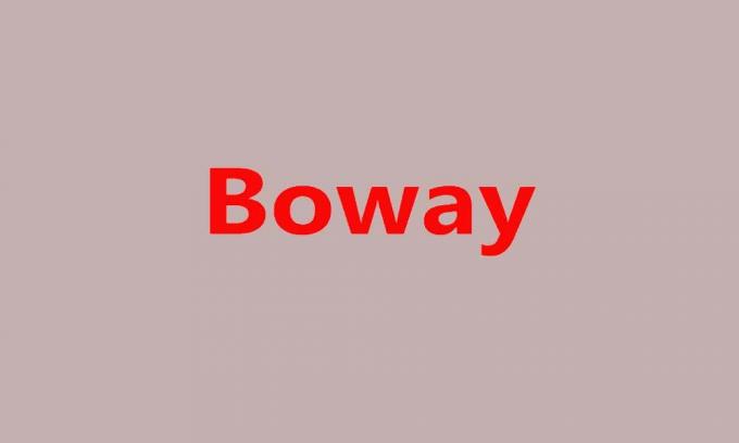Boway logo