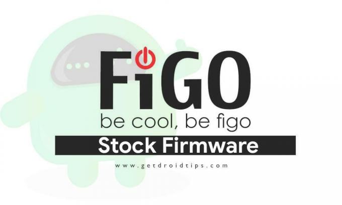 Vdelana programska oprema logotipa Figo