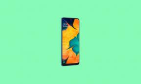 Download A305GTVJU2ASG2: Galaxy A30 august 2019 Sikkerhedsopdatering