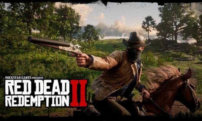 Fix Red Dead Redemption 2-fel 0x500000006: Xbox Onlinespel fungerar inte