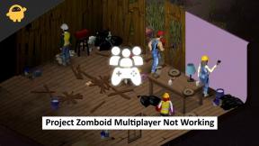 Oprava: Project Zomboid Multiplayer nefunguje