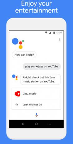 Assistant Google Go