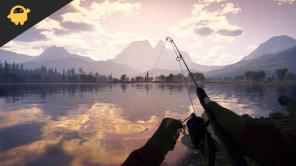 Popravak: Call of the Wild The Angler se stalno ruši pri pokretanju računala