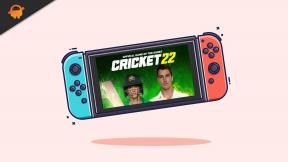 تم: لعبة Cricket 22 لا يتم تحميلها أو لا تعمل على Nintendo Switch